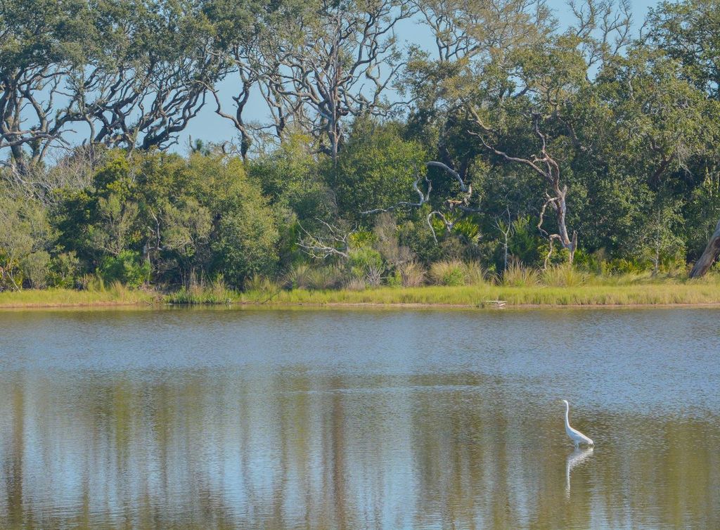 Sawpit Creek at Big Talbot State Park, Jacksonville, Florida, USA.
