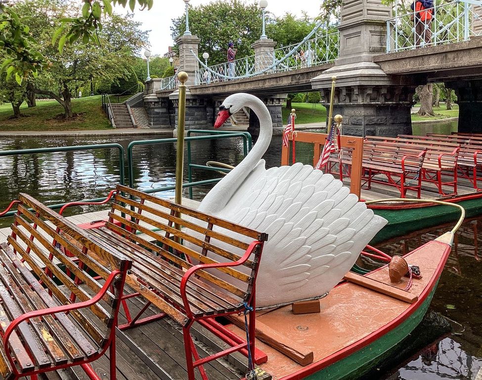 Swan Boat on the Boston Public Garden, Boston