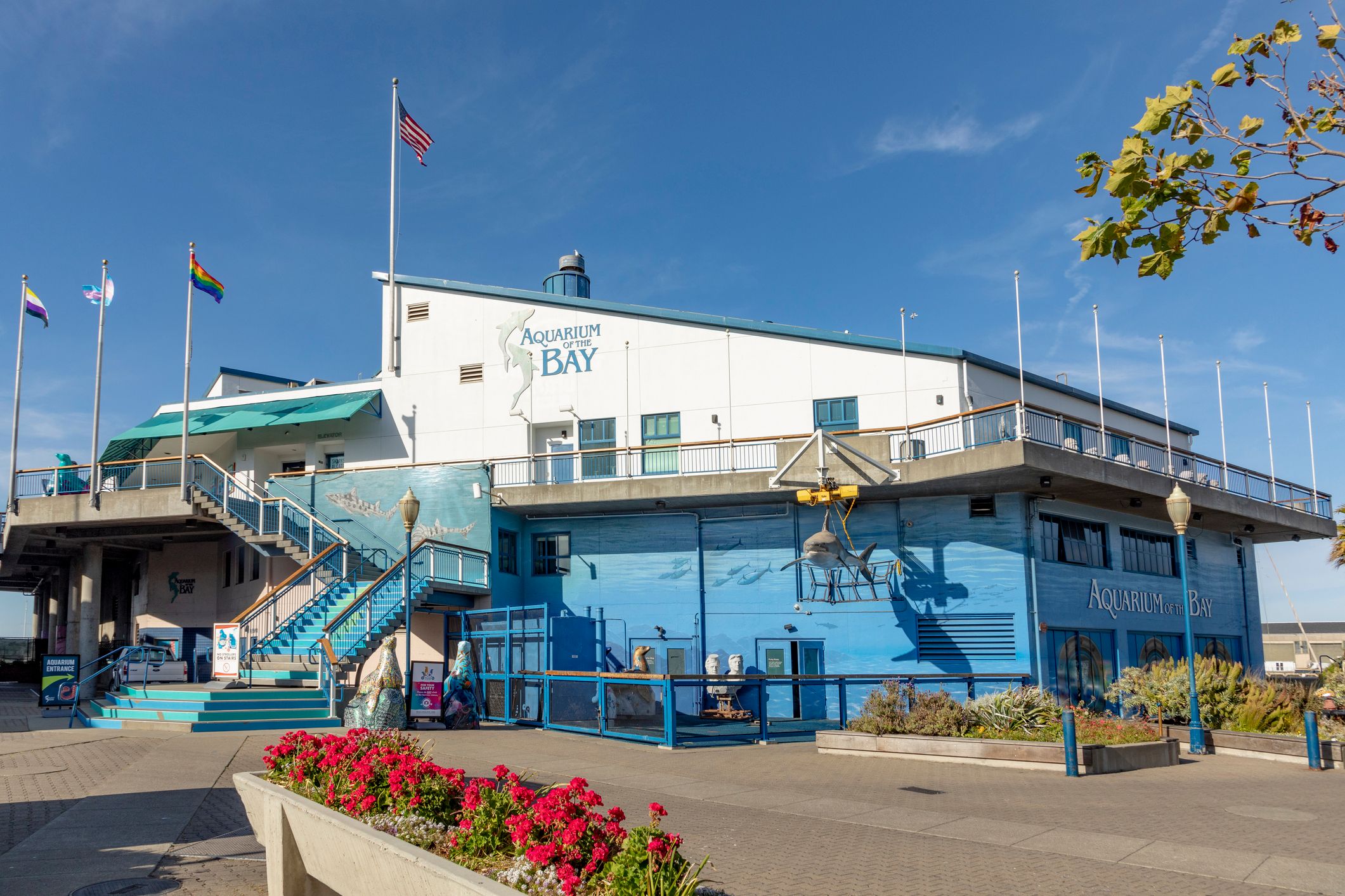 The Aquarium of the Bay museum near Pier 39, San Francisco