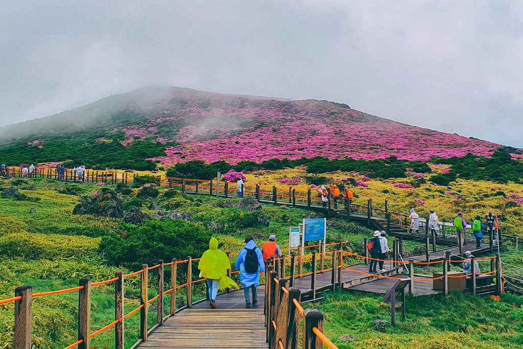 Spring Hiking in the Hallasan National Park