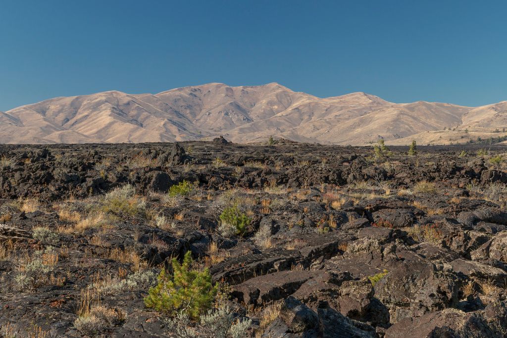 Ancient lava flow in Craters of the Moon National Monument