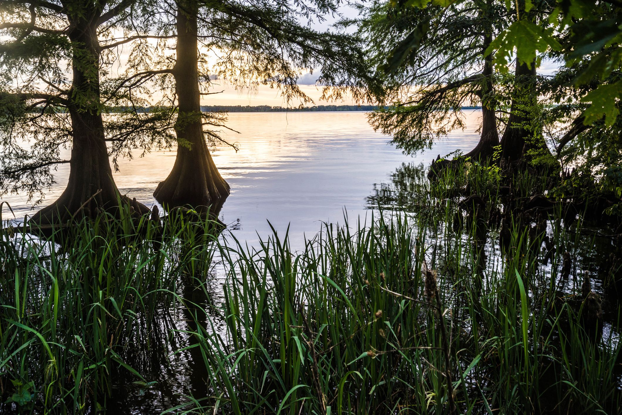 Sunset at Reelfoot Lake in Tennessee