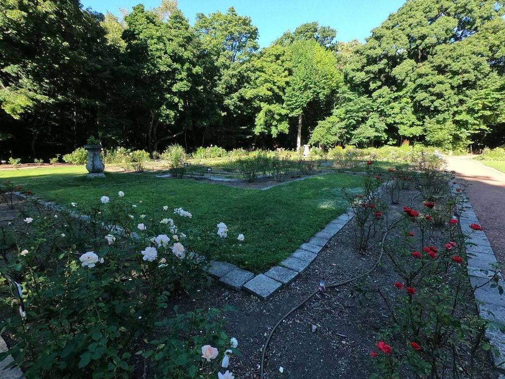 Hokkaido University Botanical Garden in Sapporo, Japan