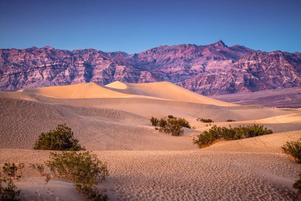 Mesquite Flat Dunes, Death Valley National Park