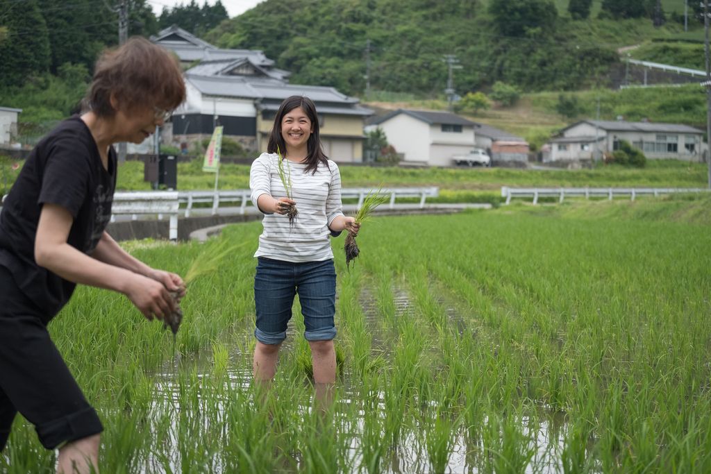 Woman Visitor Planting Rice, Japanese Farm Homestay