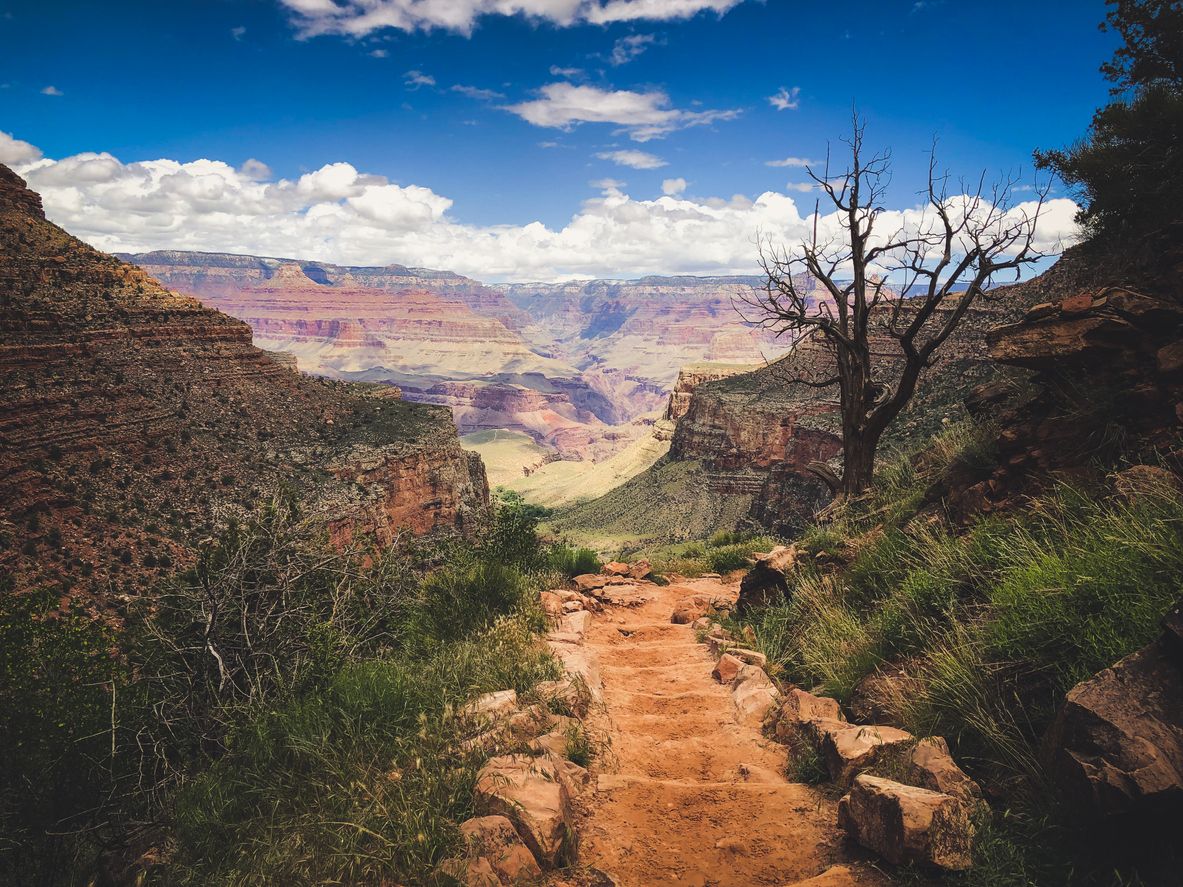 The Bright Angel Trail to the Grand Canyon