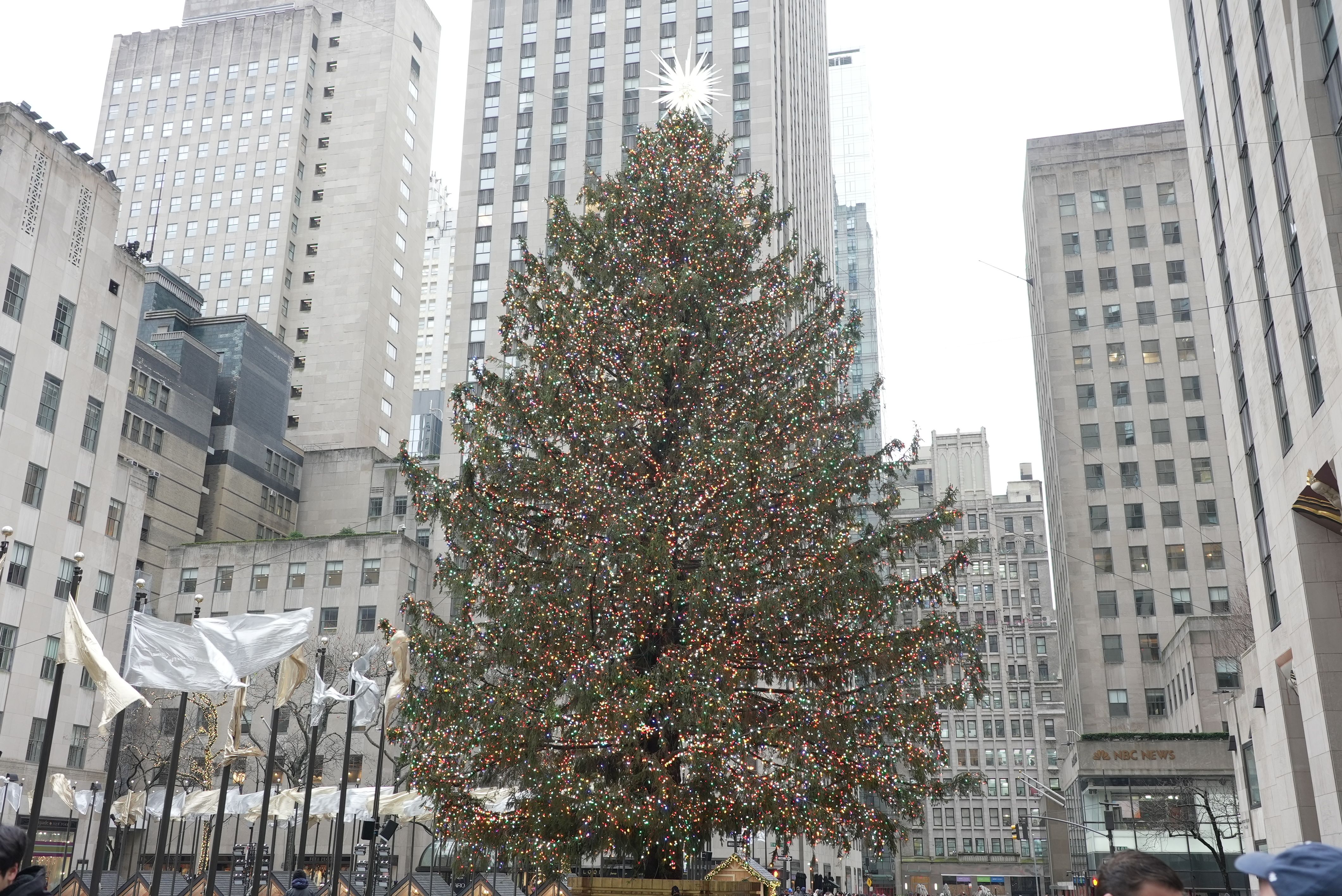 The Rockefeller Center Christmas Tree in New York City
