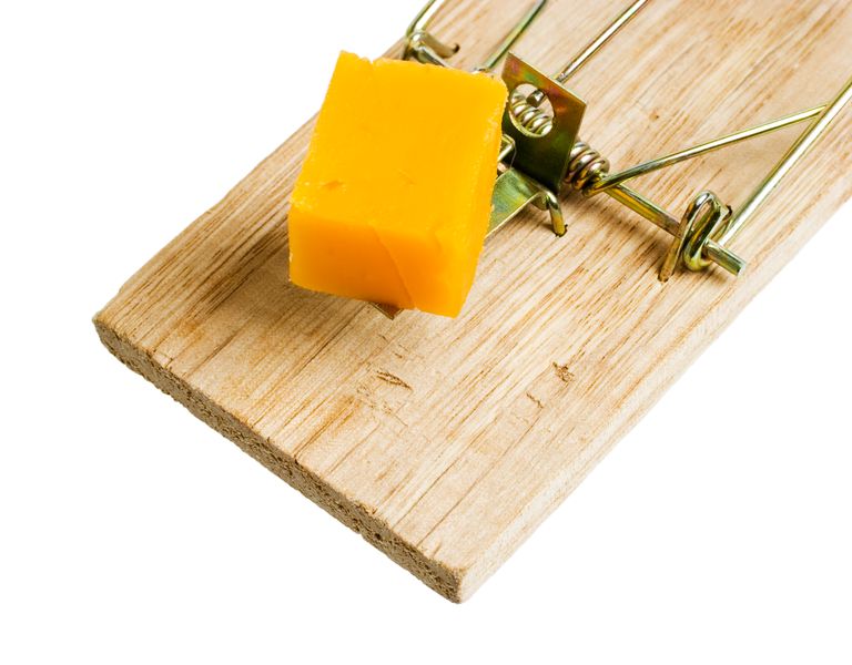 Cheese on a mousetrap, concept for the 'bait-and-switch' tactic seen online