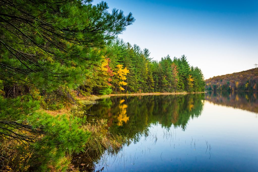 Autumn reflections in Long Pine Run Reservoir, in Michaux State Forest, Pennsylvania