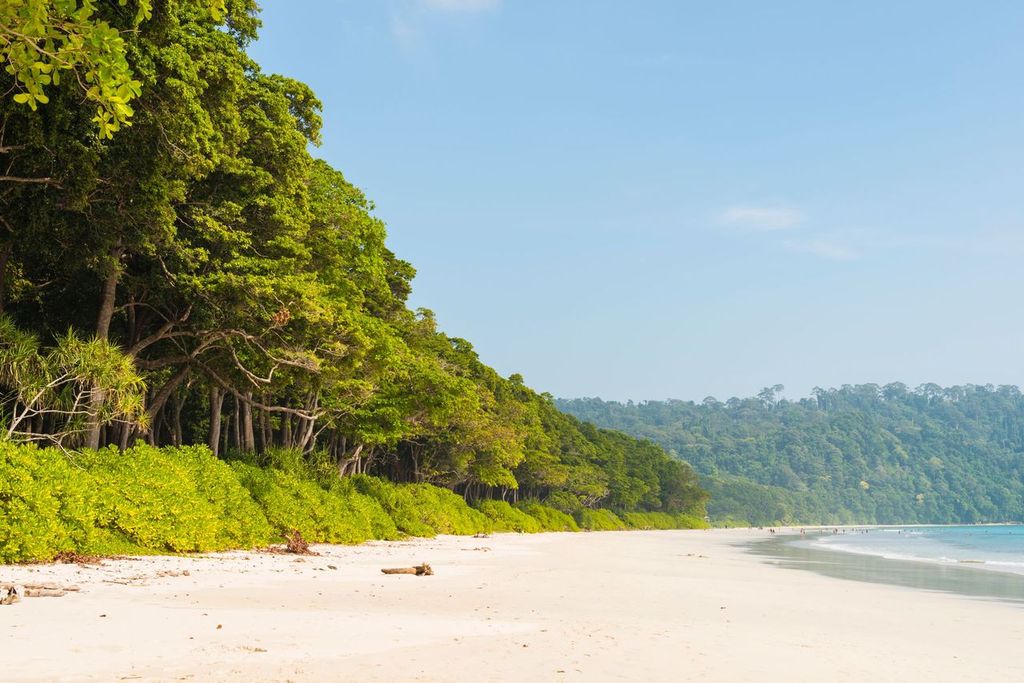 Radhanagar beach