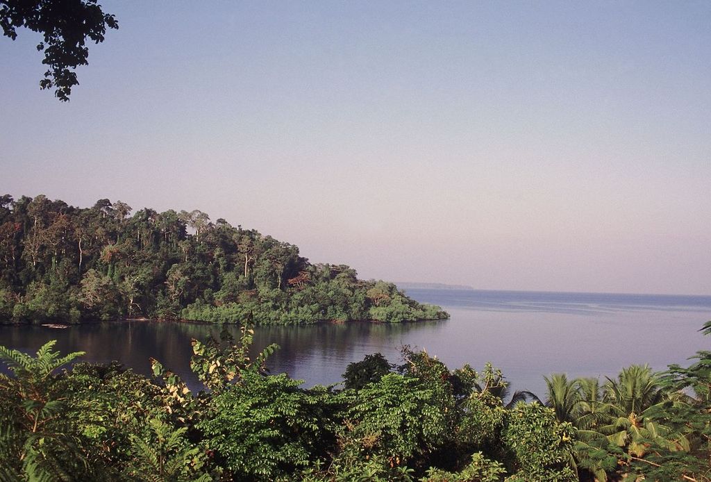 The Bay of Bengal in the background in Mahatma Gandhi Marine National Park