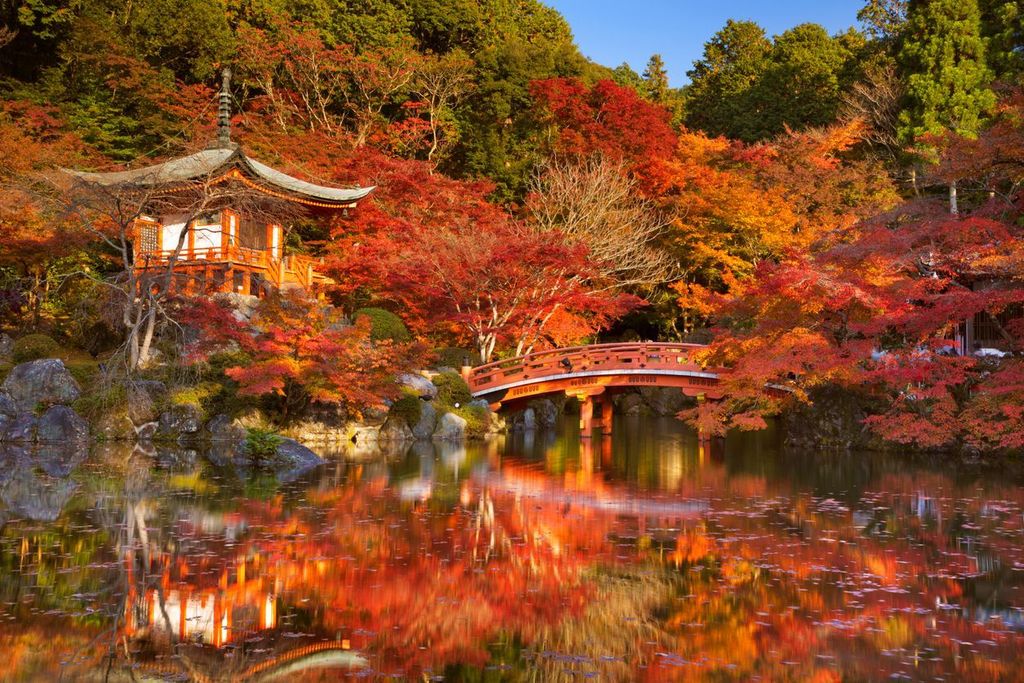 Autumn colours at Daigo-ji Temple in Kyoto, Japan