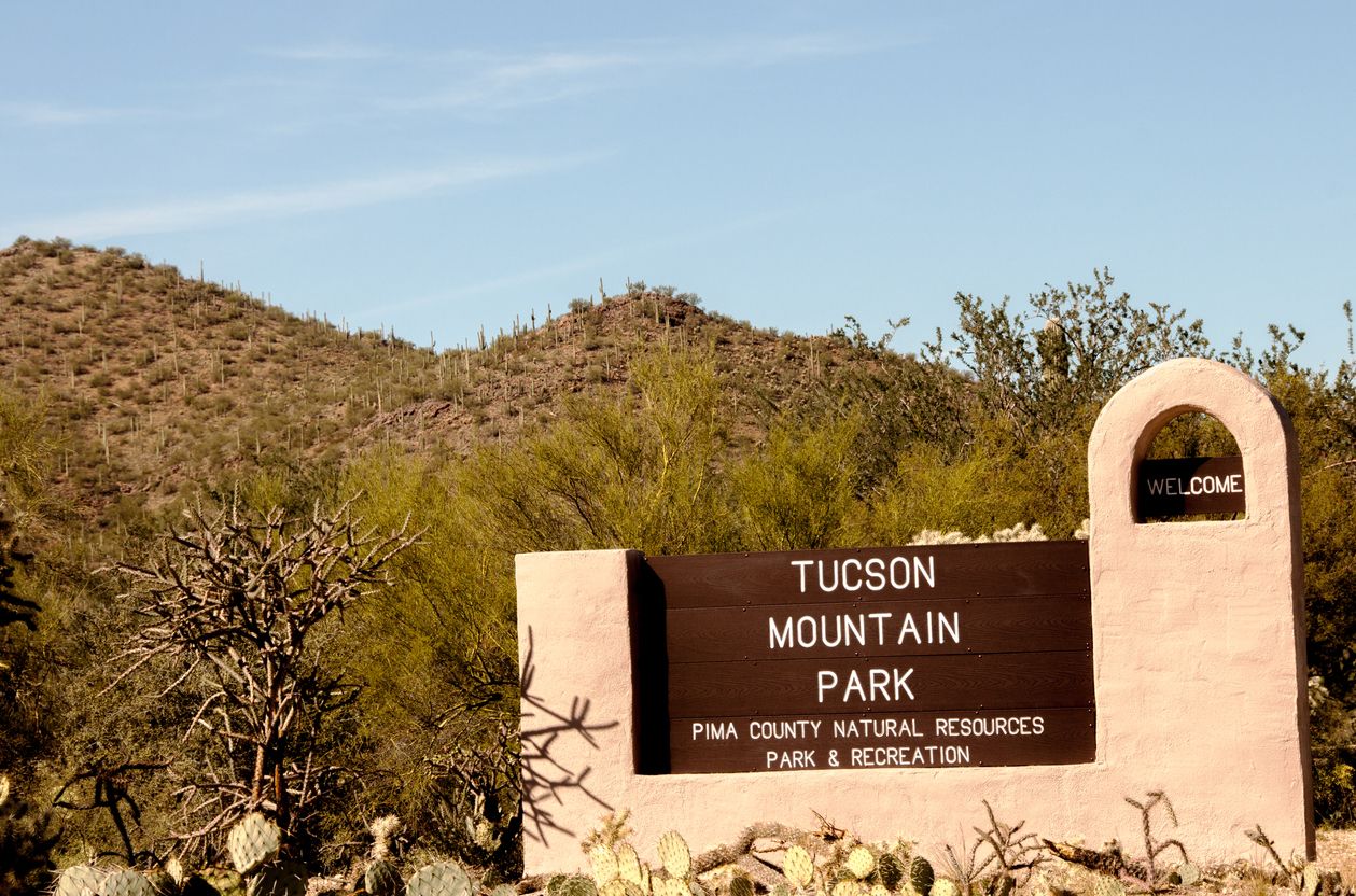 Tucson Mountain Park in Arizona