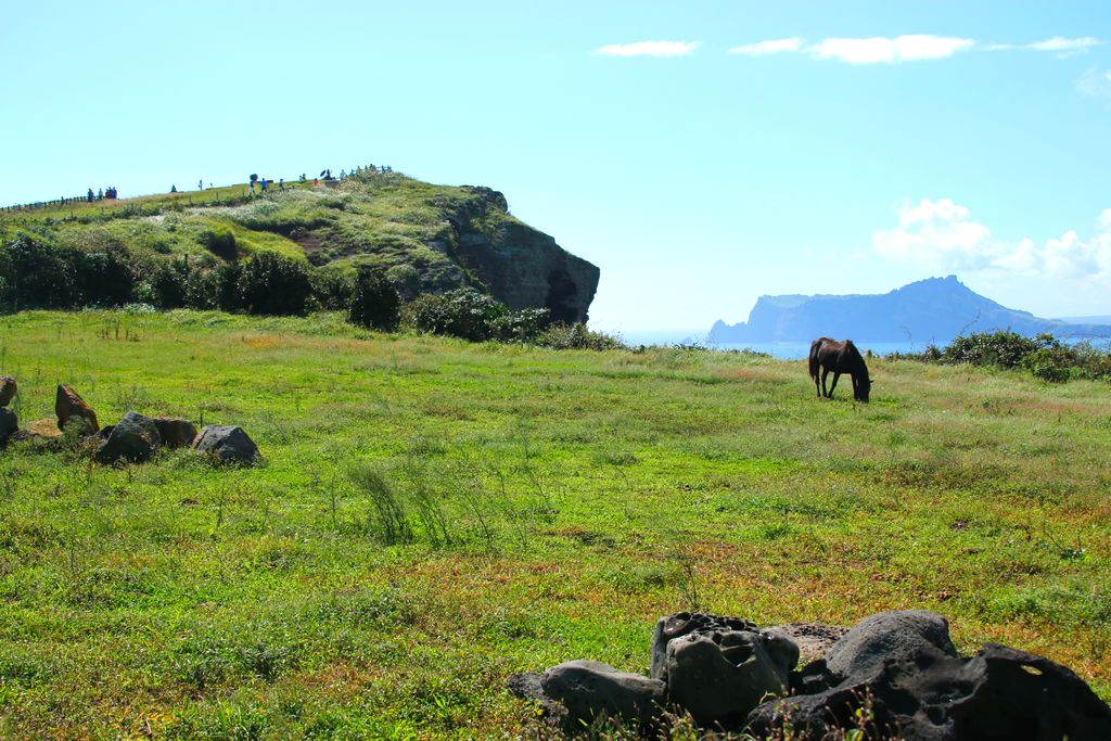 View of Udo Island with tourists in the background and a horse seen eating grass.