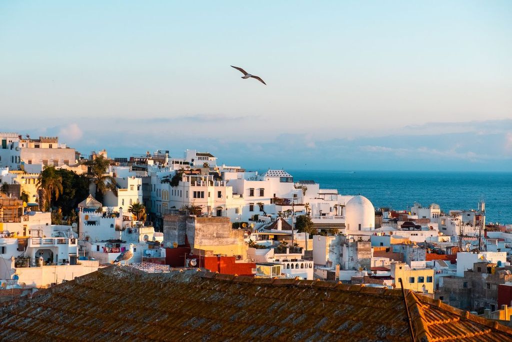 Tangier medina at dawn with seagull