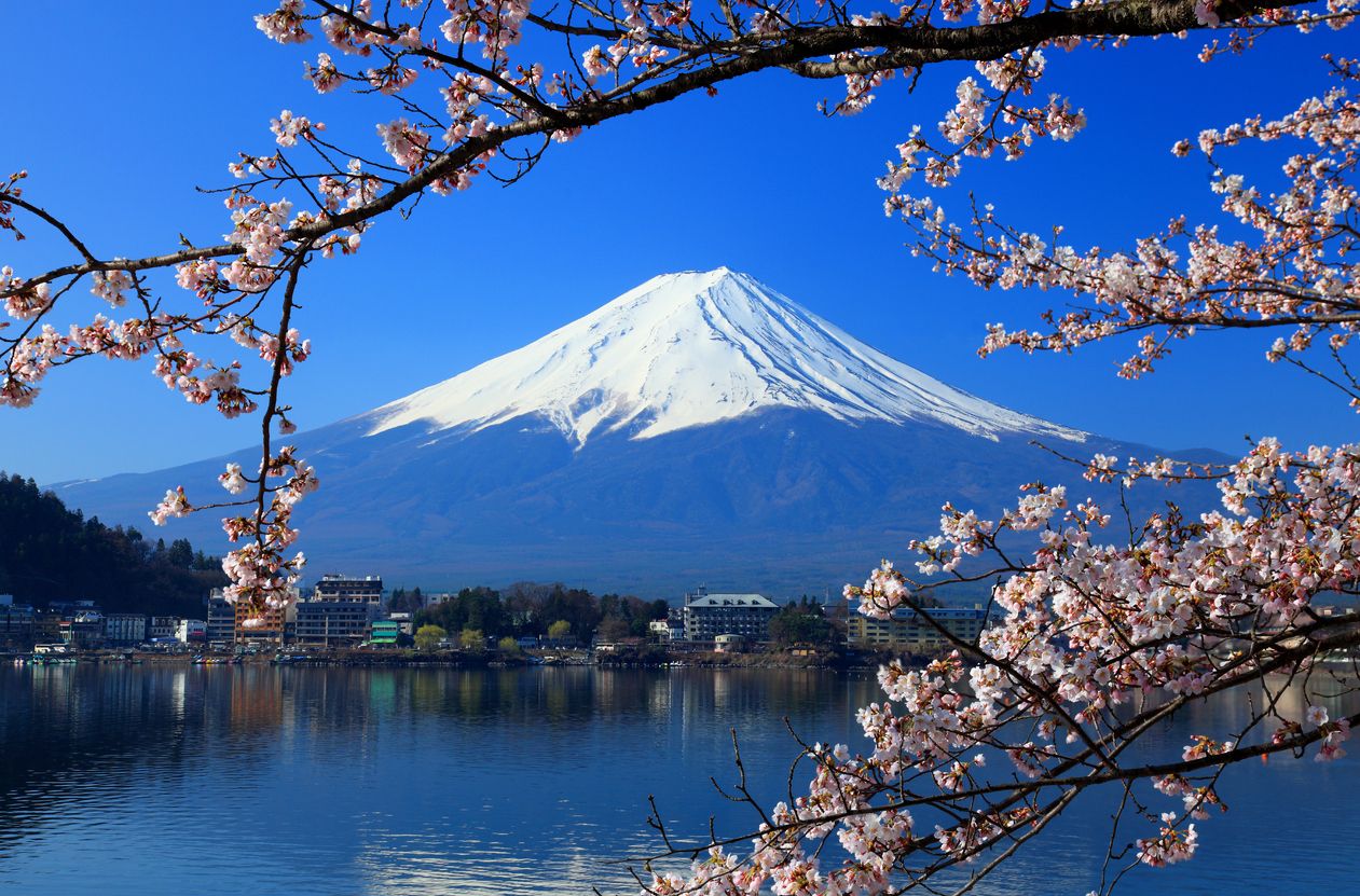 Beautiful cherry blossoms with Mount Fuji, Japan