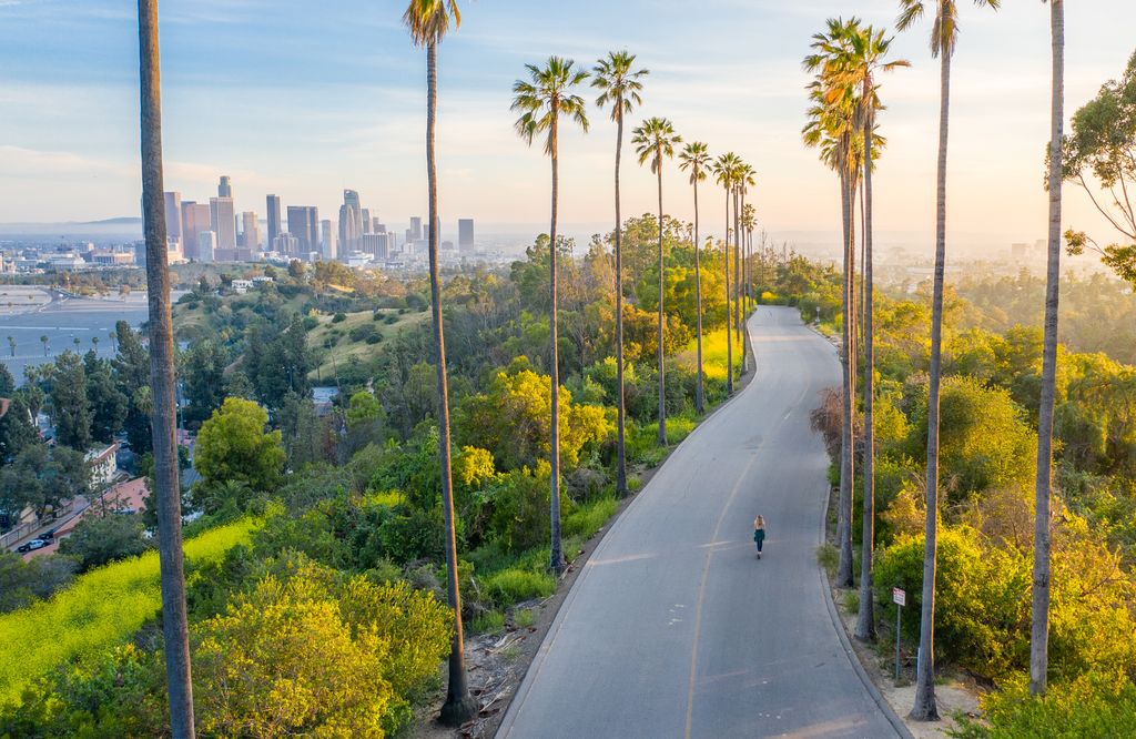 Young Woman Walking Down Palm Trees Street Revealing Downtown Los Angeles
