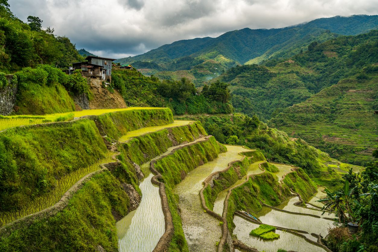 Banaue Rice Terraces, Philippines