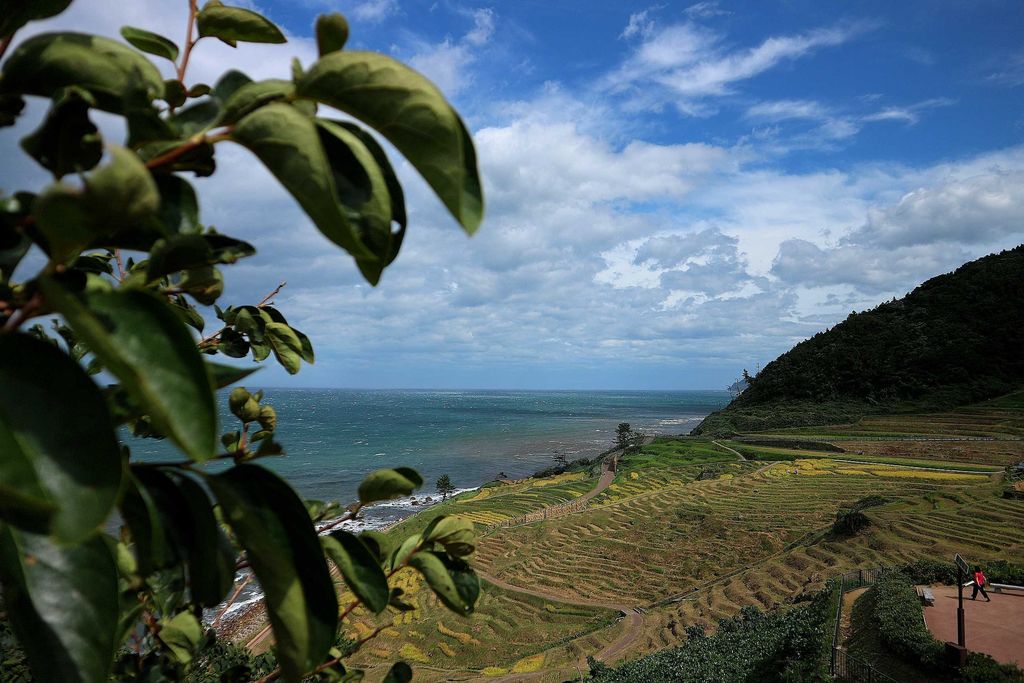 Rice terraces at Wajima, Ishikawa