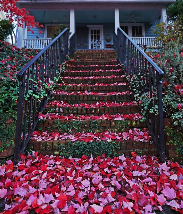 Red Autumn leaves on stairs of a home in the historic Oakwood neighborhood of Raleigh
