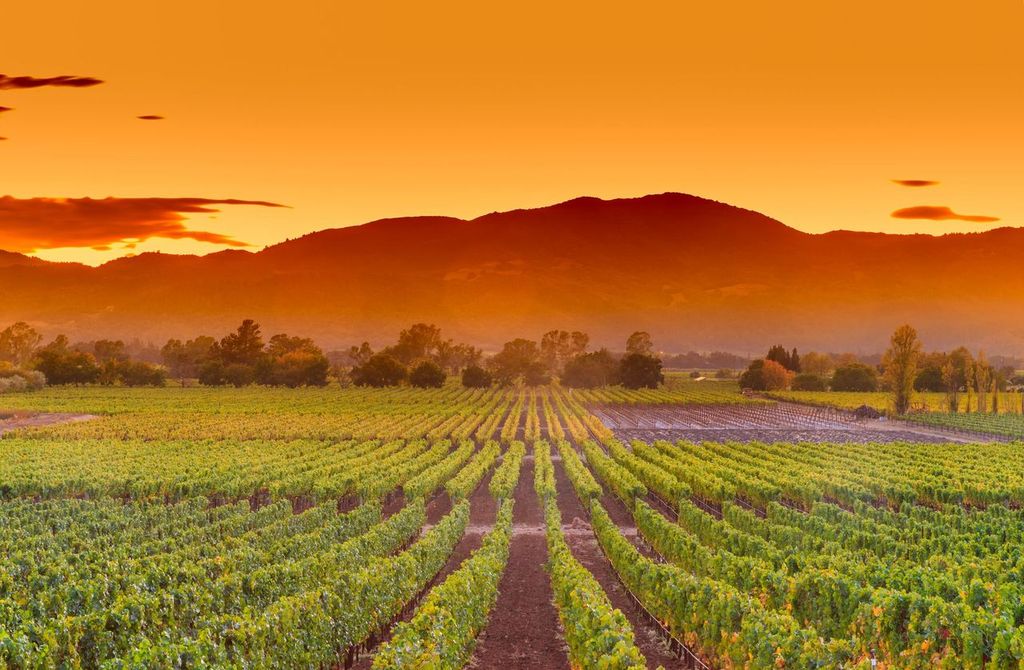 Napa Valley wine country mountain hillside vineyard growing crops for grape harvest and winery