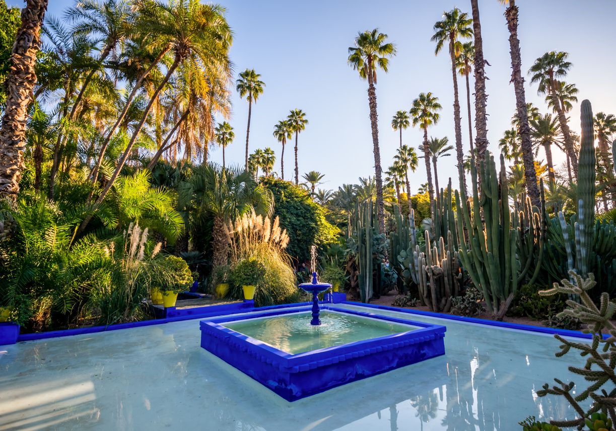 Botanical garden Jardin Majorelle in Marrakesh, Morocco