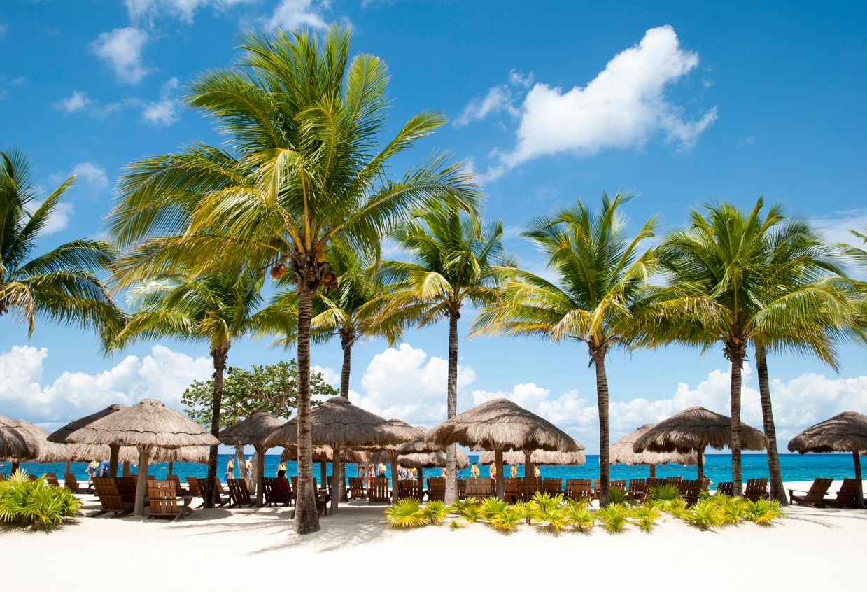 The tourist beach view with straw umbrellas and palm trees on Cozumel island (Mexico)