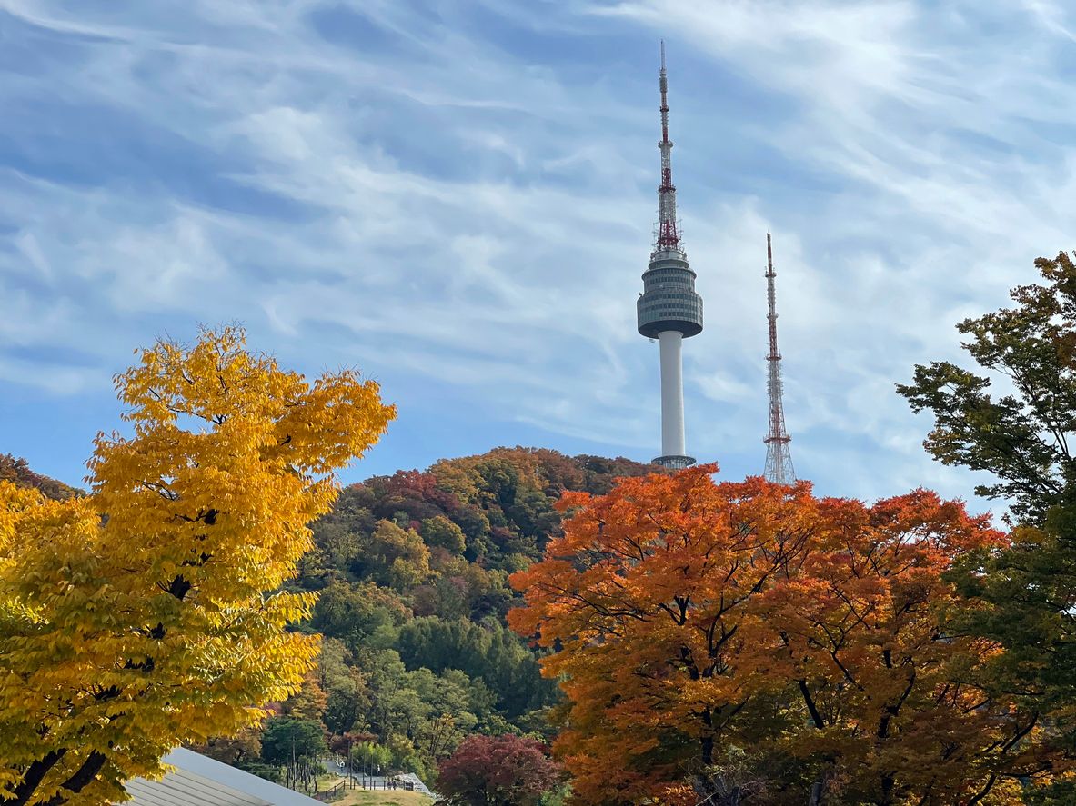 Seoul Namsan Park in Autumn with N Seoul Tower