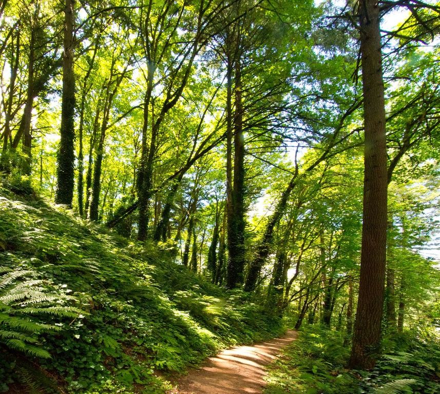 Forest Park, Portland, Oregon