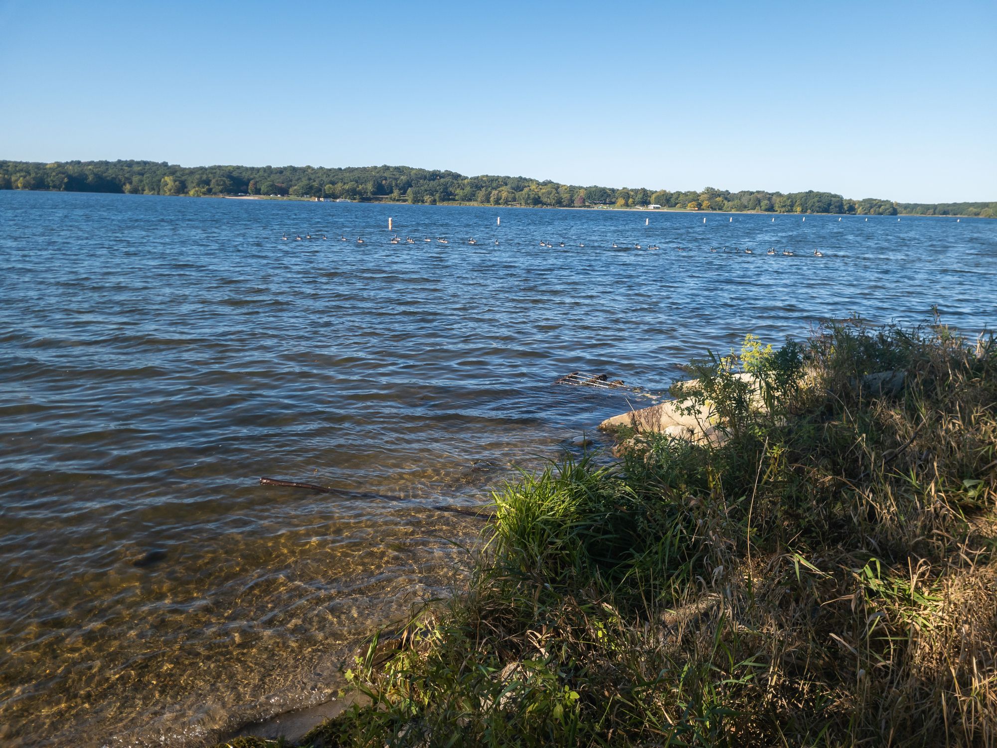 View of the water in Kent Lake in Kensington Metropark near Milford, Michigan
