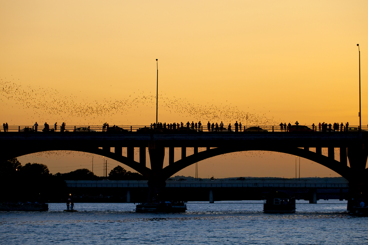 People watching bat leaving the Congress Ave bridge at sunset in Austin, Texas.