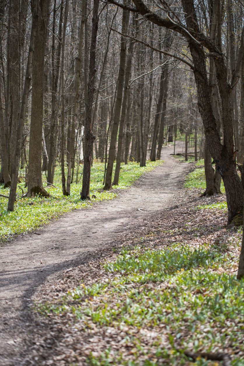 Hiking path through the woods on a spring day in Ontario, Canada. in Kingston, ON, Canada