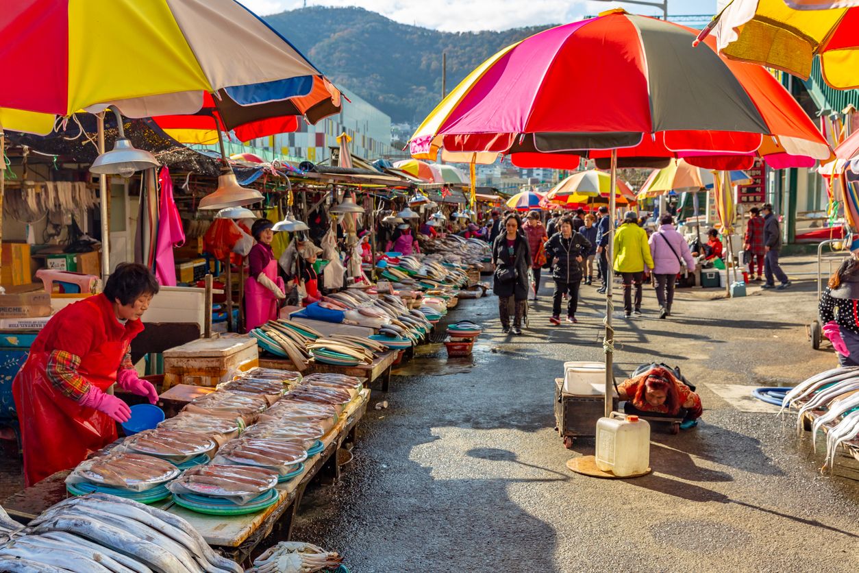 Fish market in Jagalchi in Busan, South korea