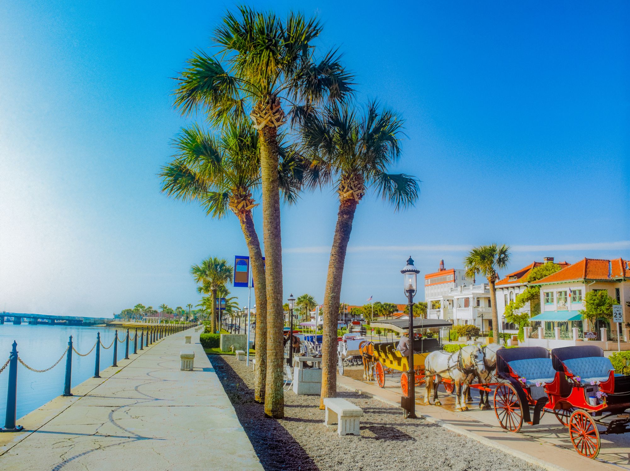 Horse drawn carriages line road in St. Augustine, Florida