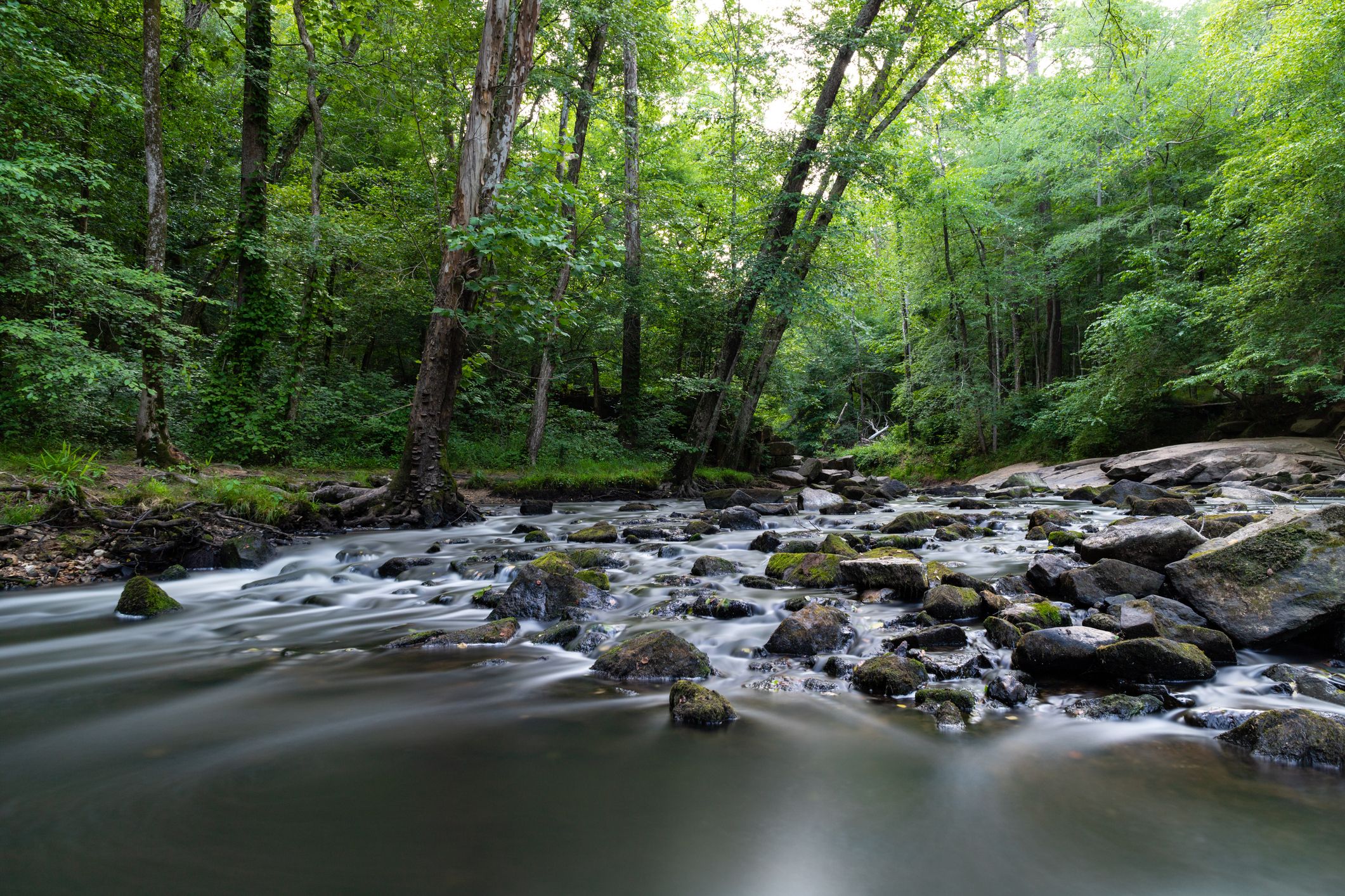 Umstead State Park in Raleigh, North Carolina