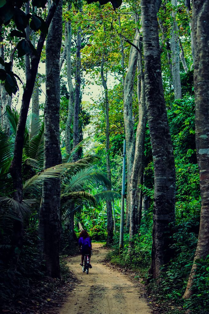 Girl on a bicycle rides along a path on Havelock Island, Andaman