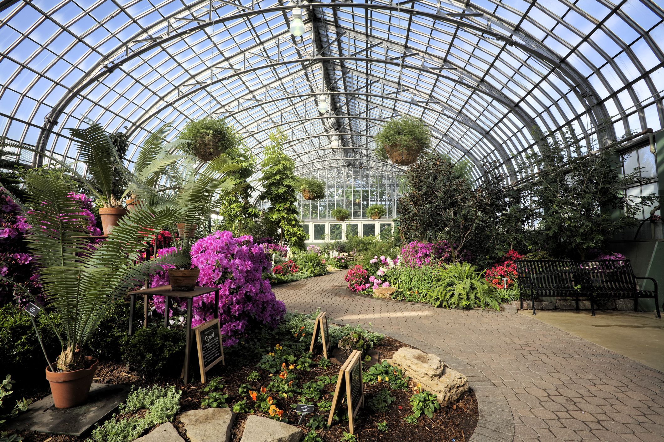 Garfield Park Conservatory