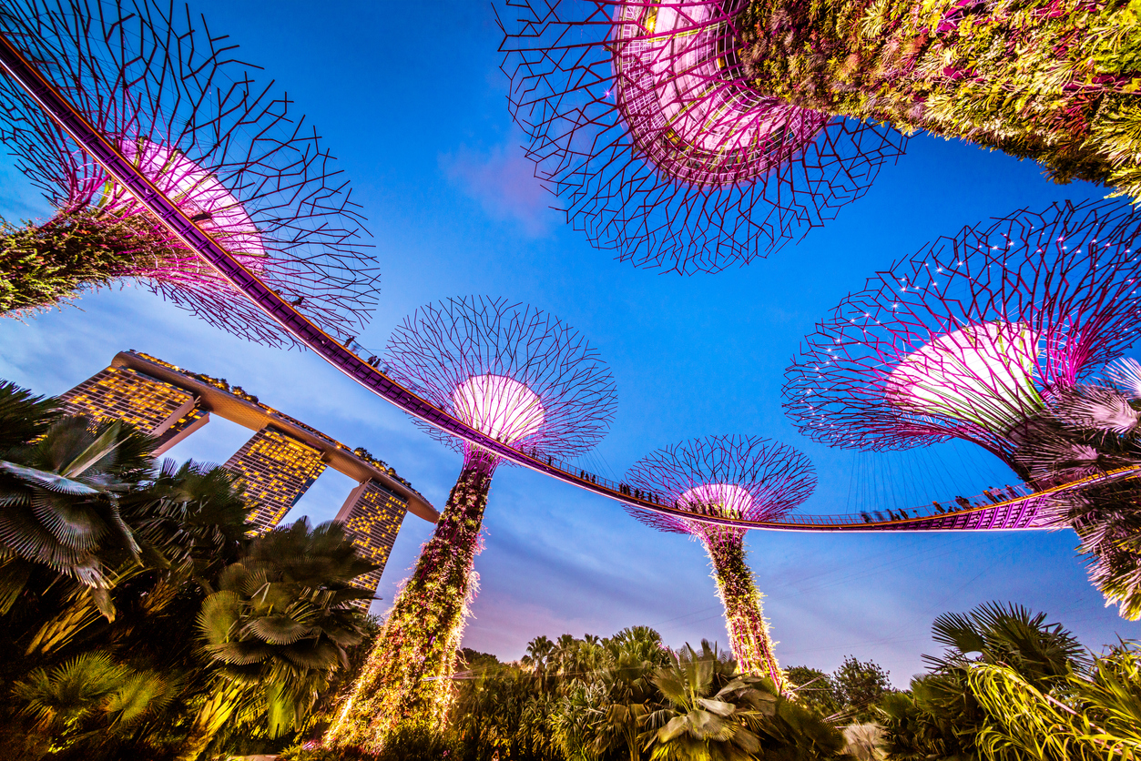  Illuminated Supertrees and Skywalk in Gardens by the bay in Singapore at night