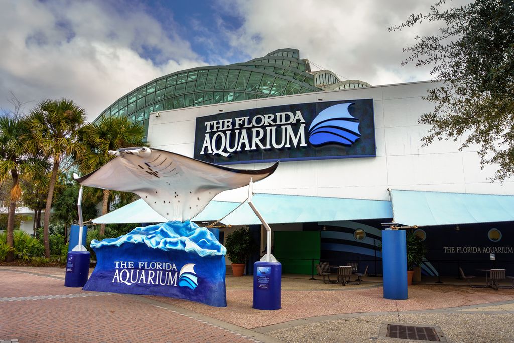 Larga manta ray sculpture at the entrance to the Florida Aquarium in Tampa Bay