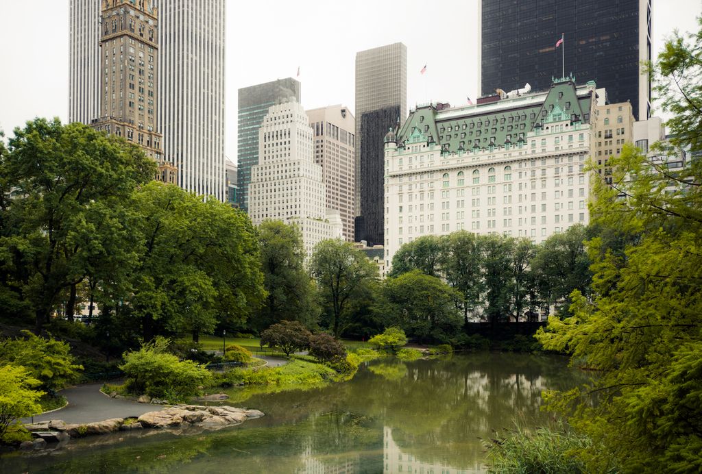 Central Park of Manhattan in New York City with the Plaza Hotel in the background.