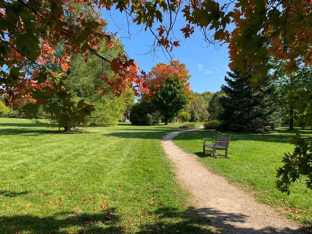 Bench and trail surrounded by trees at The Arboretum, University of Guelph, Canada