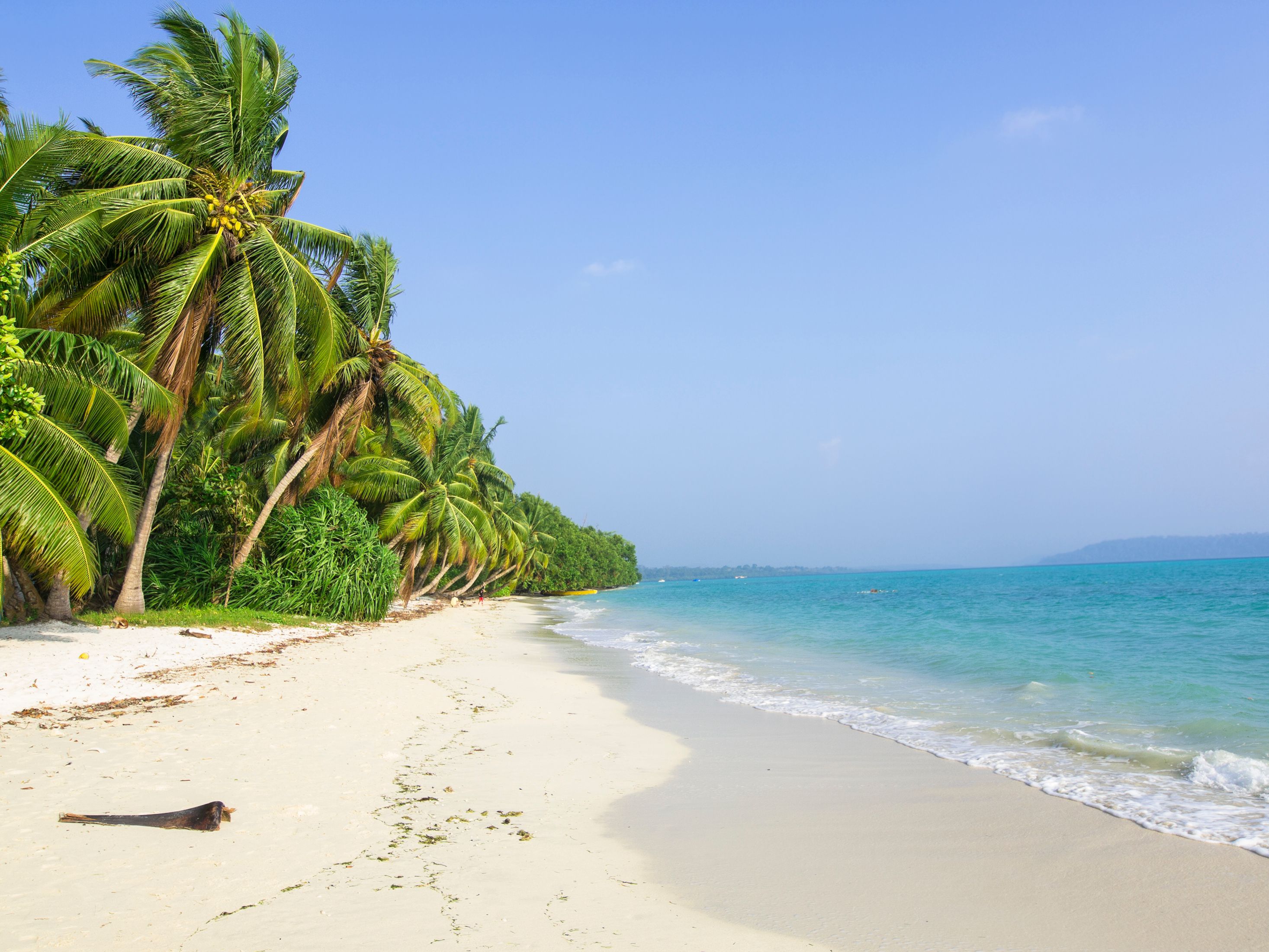 Beach No 5 on Havelock Island, Andaman Islands, India.
