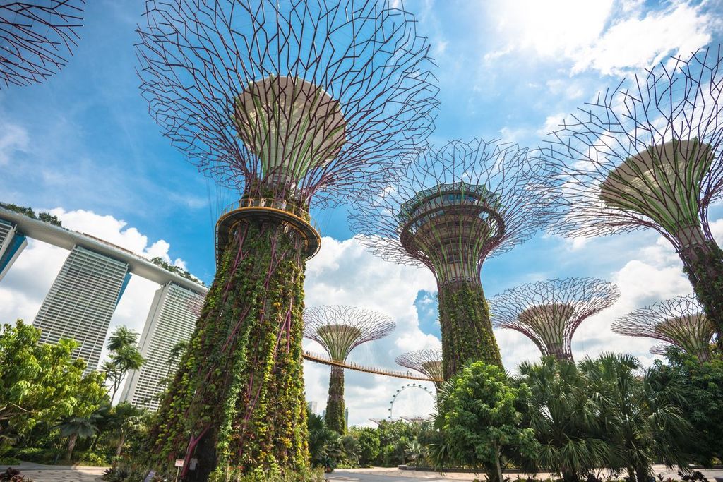 Singapore Skyline from Gardens By the Bay