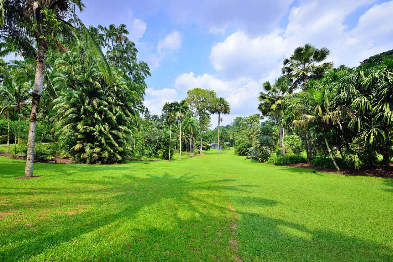 Beauty and peaceful tropical garden at sunny day.