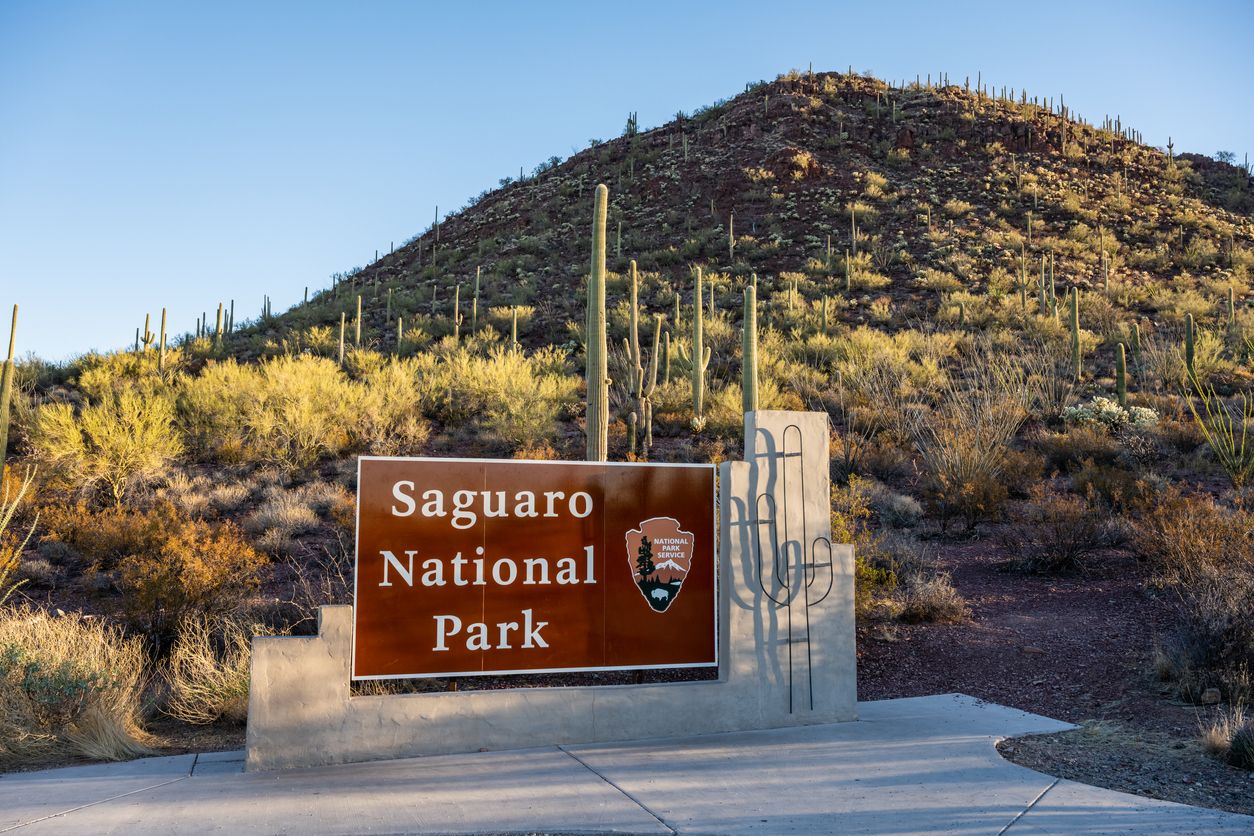 Saguaro National Park Sign At Base of Cactus Covered Hillside
