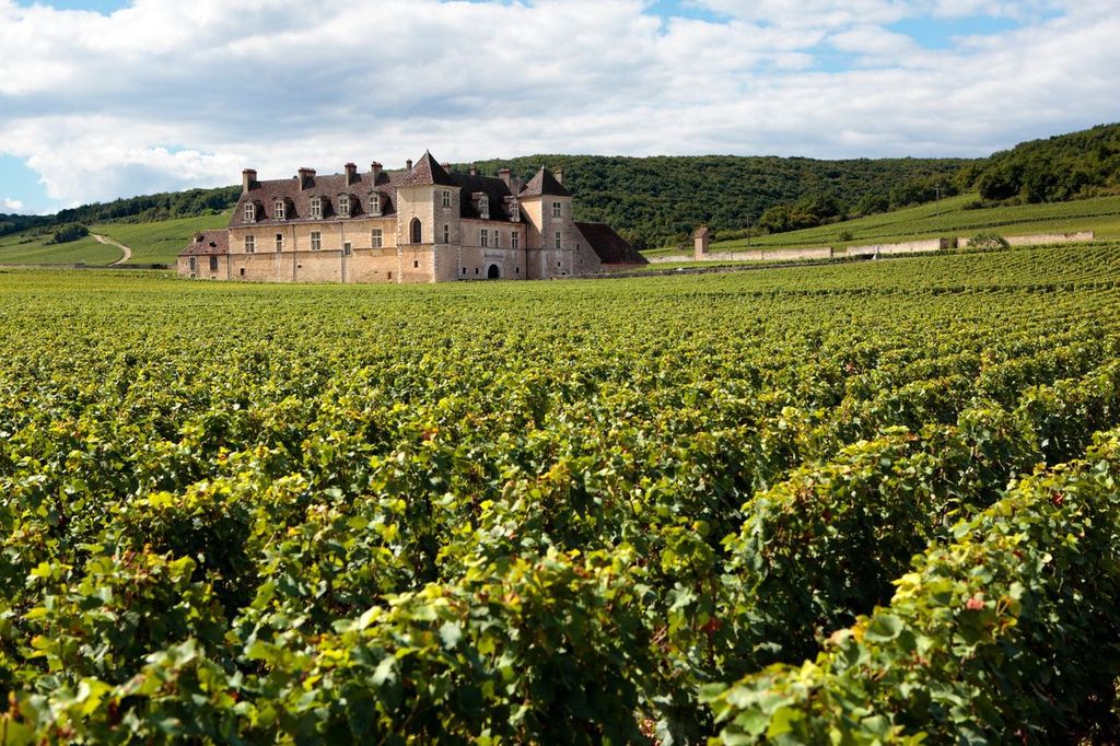 Landscape view of a typical sunlit vineyard in Burgundy, France with Chateau Clos Du Vougeot