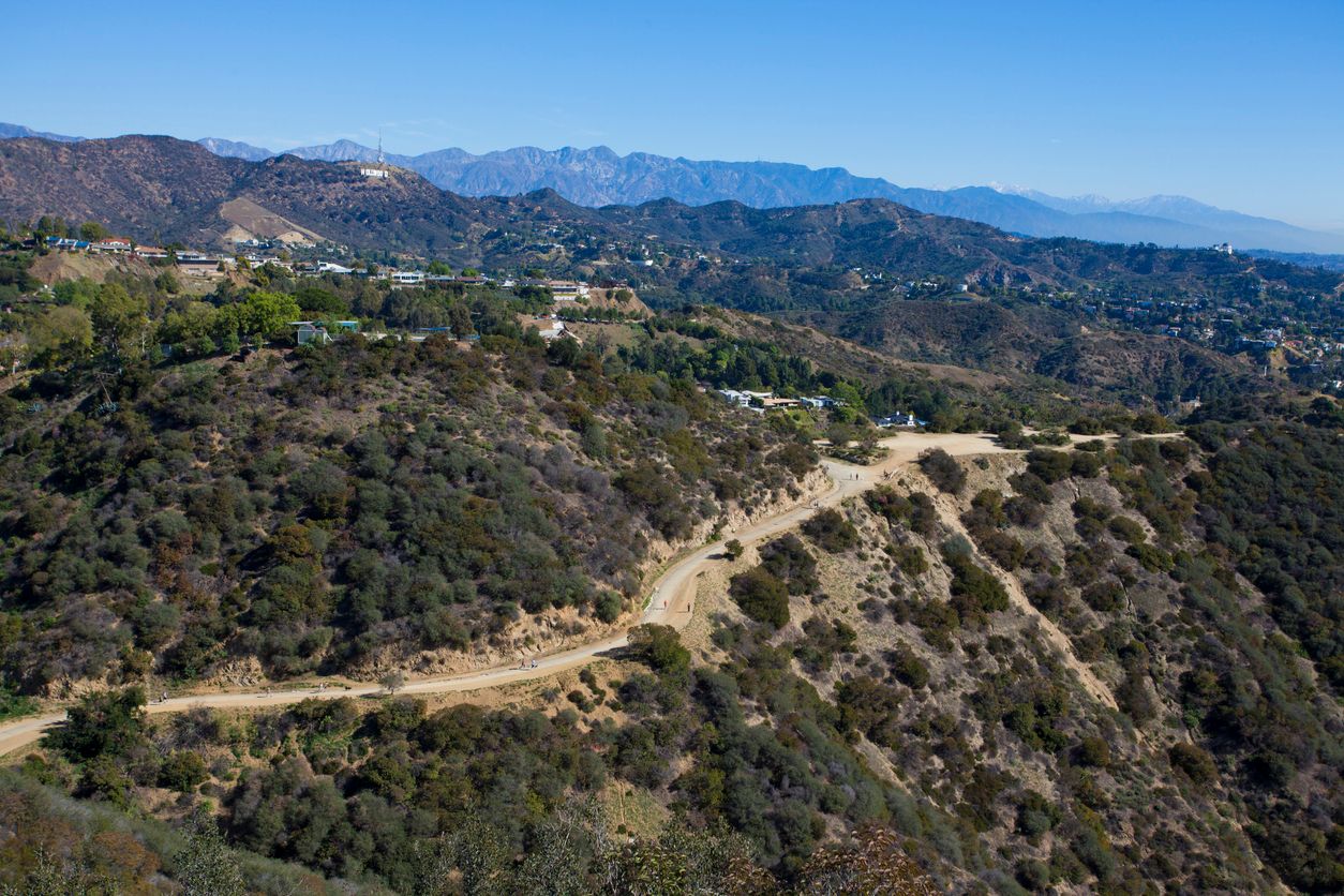 view of Runyon Canyon with the Hollywood Sign in the distance