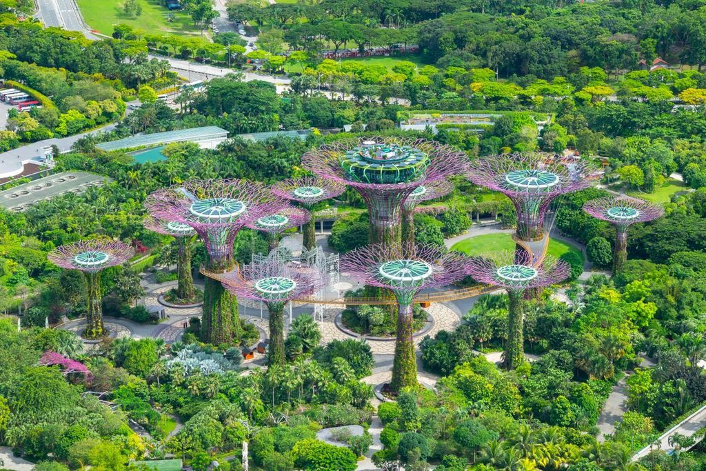 View of Supertree Grove in Gardens by the Bay from Marina Bay Sands SkyPark Observation Deck