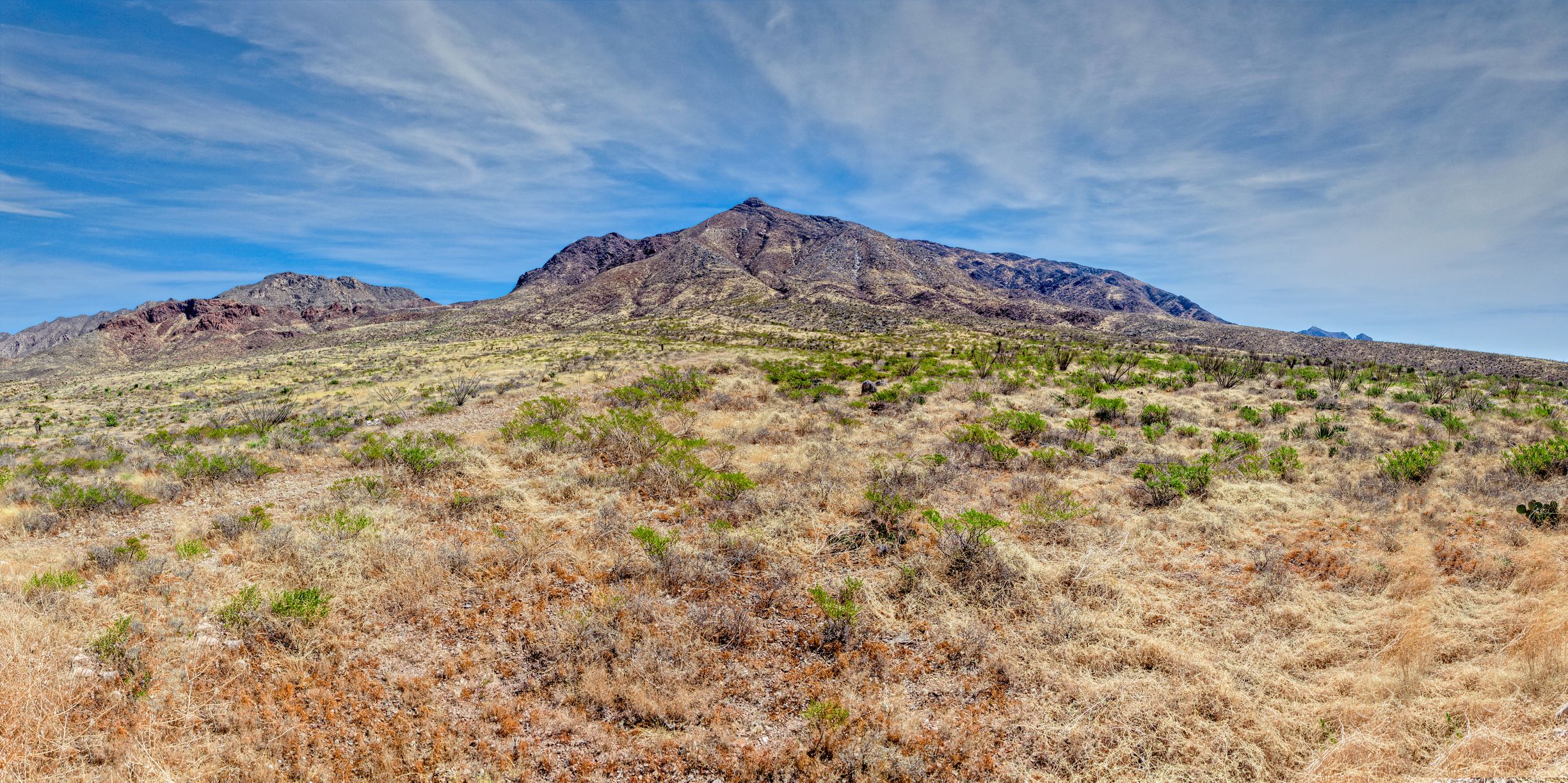 Franklin Mountains State Park near El Paso, Texas, USA