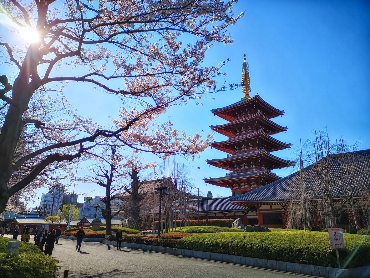 Sensoji-ji Temple in Asakusa, Tokyo, Japan
